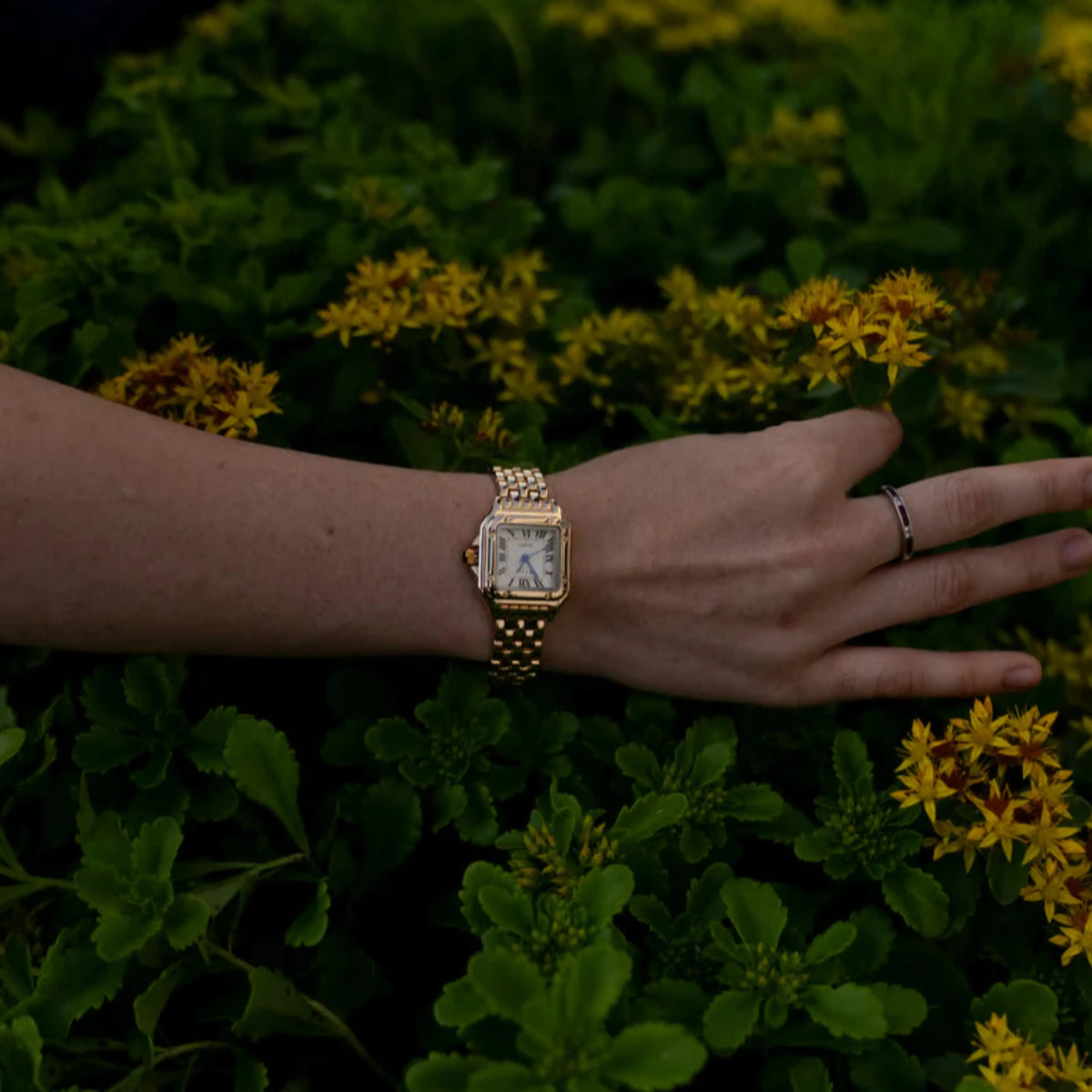 TheighT® Calista VIP